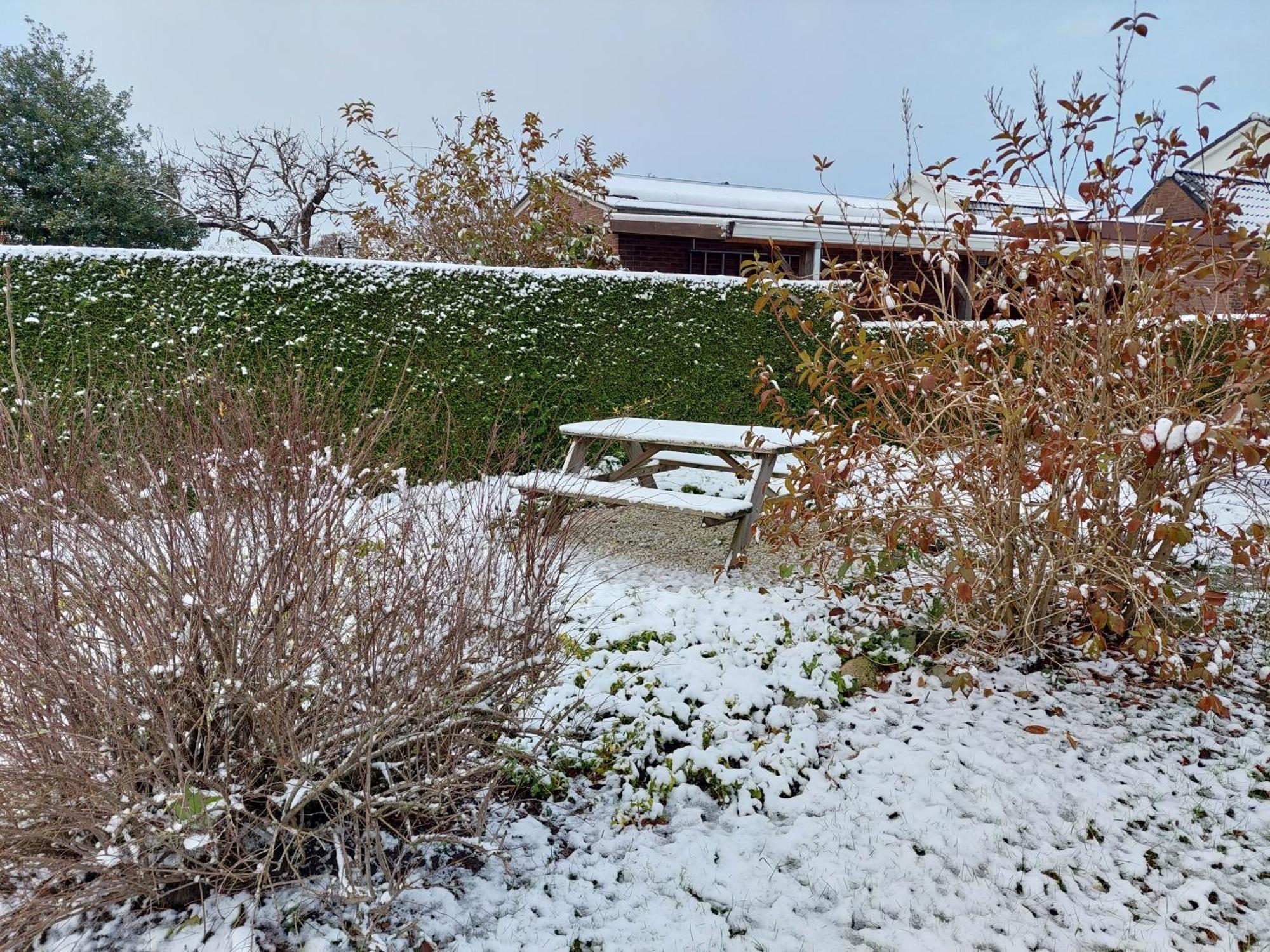 Huisjedelinde ウォルフェハ エクステリア 写真